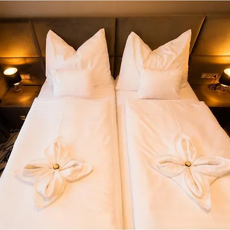 Szatmari & Etterem מלון