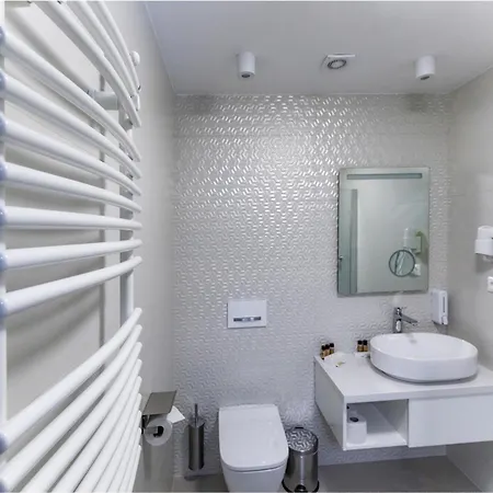 מלון Szatmari & Etterem 3*