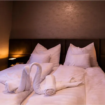 מלון Szatmari & Etterem 3*